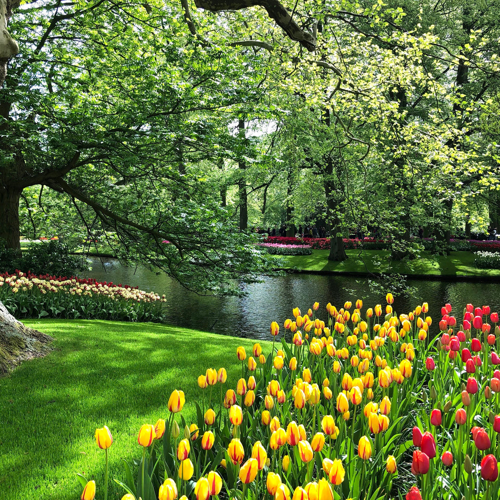 Springtime Extraordinary Springtime Fun – WANDERWILD CO