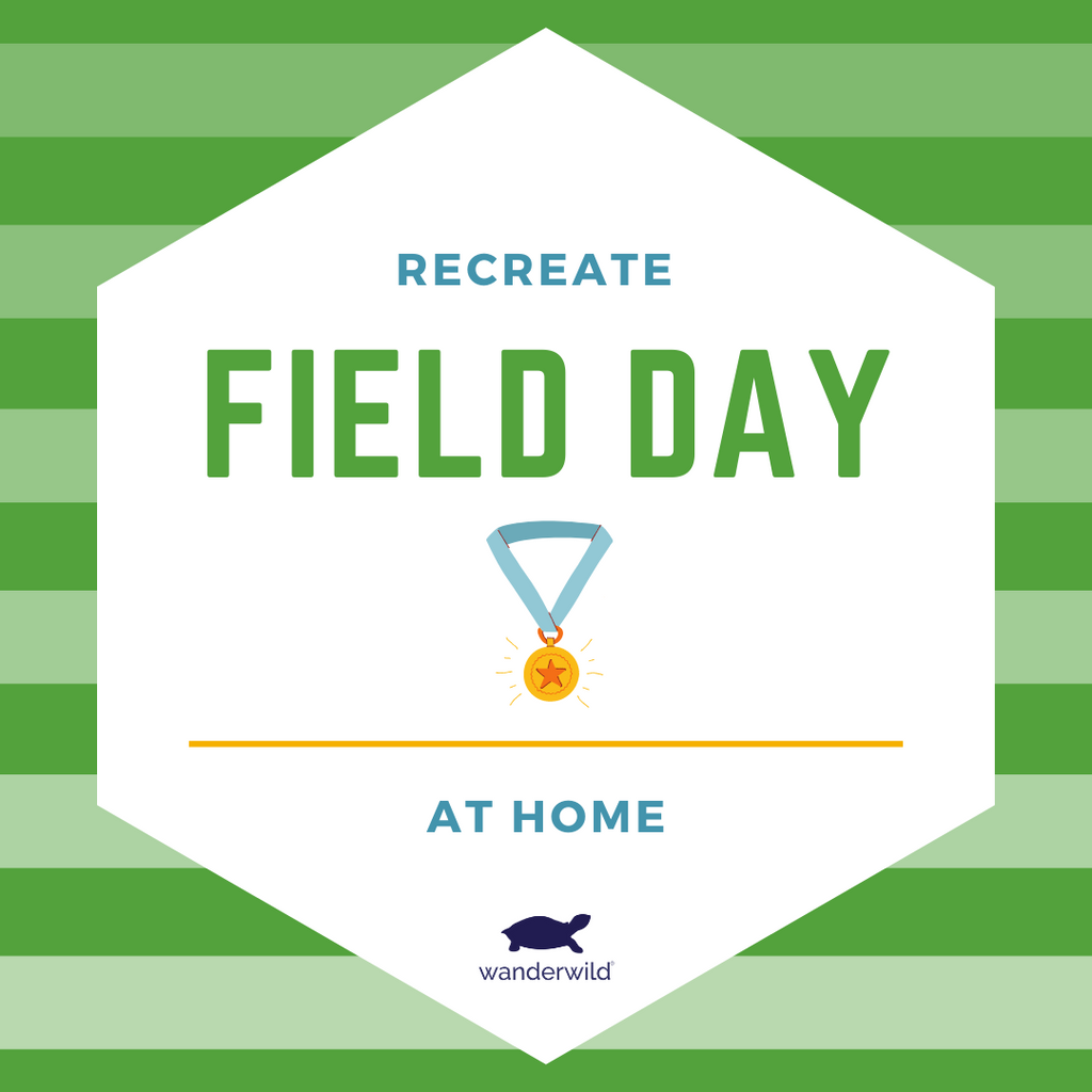 Recreate Field Day At Home